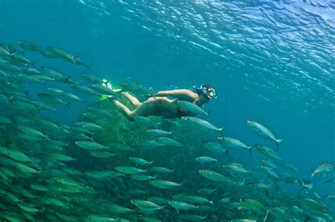 Passeios Em Noronha Tudo O Que Voc Precisa Fazer