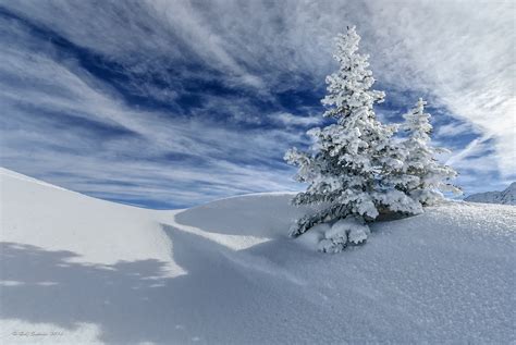 Winter Sky Snow Trees Spruce Hd Wallpaper Rare Gallery