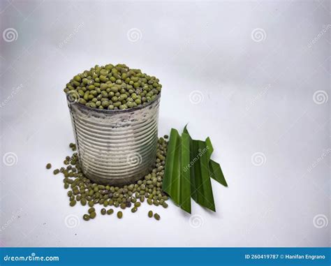 Mung Beans Vigna Radiata Kacang Hijau Stock Image Image Of