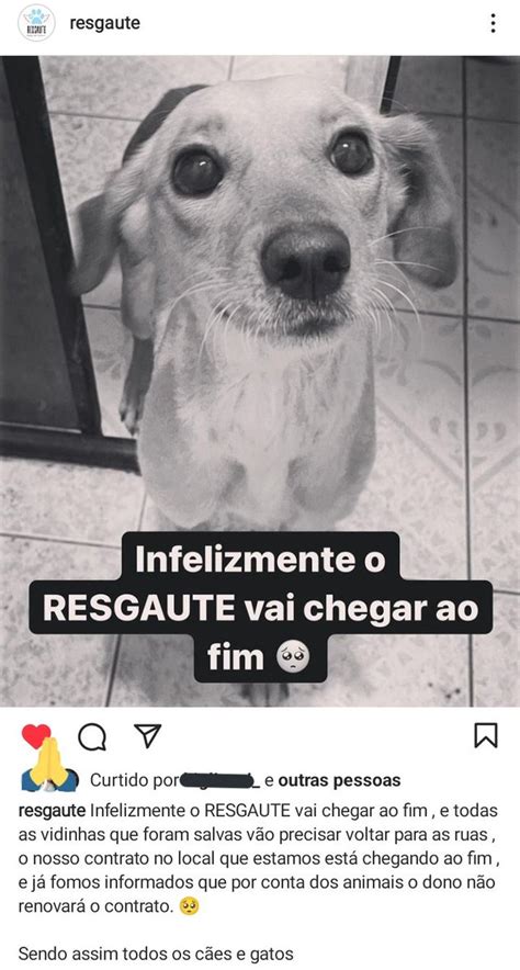 eto on Twitter RT fvbieberstan GENTE POR FAVOR QUEM PUDER IR LÁ