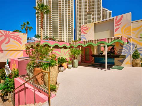 Gallery - Palm Tree Beach Club - Las Vegas