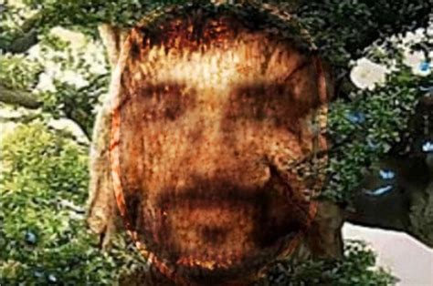 Create Meme Wise Mystical Tree Game Darkness A Tree With A Face Meme