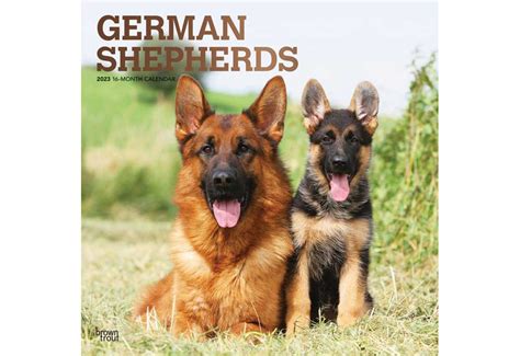 German Shepherd Dogs Calendar Dog And Puppy Calendars Artofit