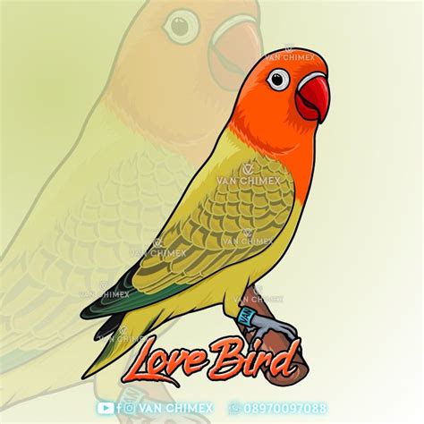 Logo Burung Lovebird Vector Design Logo Burung Lovebird Biola Vector