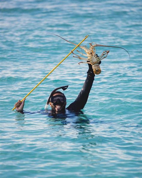 Bermuda Tourism - Exactly how we feel about a beautiful day at the