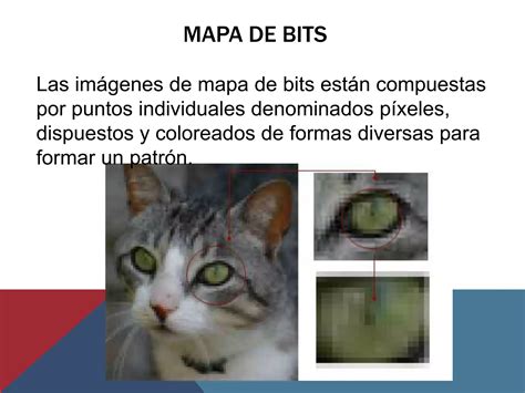 Imagen Vectorial Y Mapa De Bits Ppt