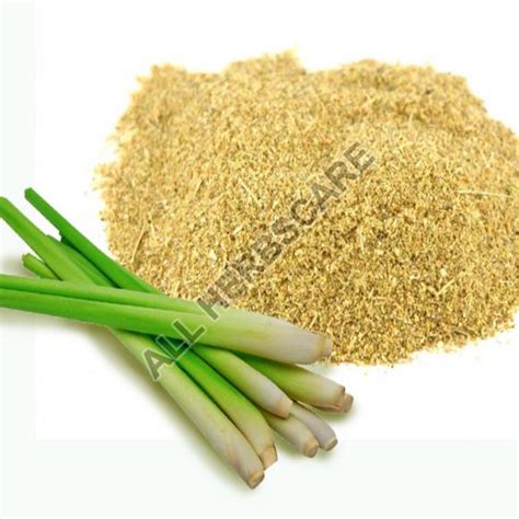 Lemongrass Powder Color Light Green At Best Price In Ahmedabad All Herbscare