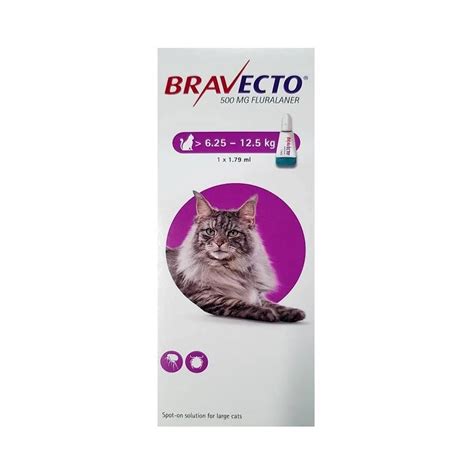 Bravecto Spot On Cat Mg Kg Solutie Spot On Pentru