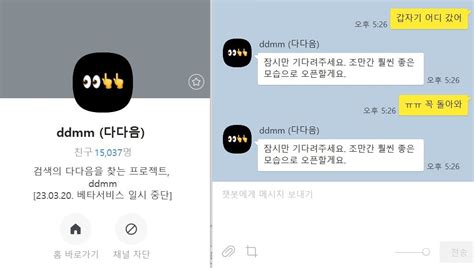 카카오 카톡 Ai 챗봇 다다음 베타서비스 하루만에 일시중단종합 나무뉴스