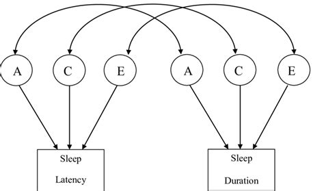 2 Path Diagram For A Bivariate Correlated Factors Model Shown For One