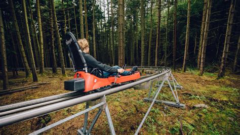 Forest Coaster And Plummet For One Person At Zip World Red Letter Days