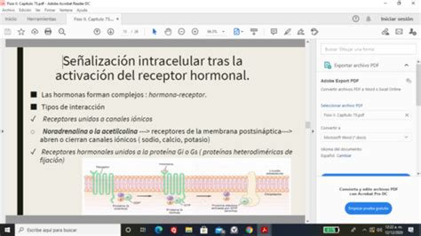 Fichas De Aprendizaje Fisio Cap Quizlet