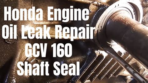 Honda Gcv160 Oil Seal Replacement Replacement Honda Gc135 Gc