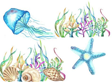 Download High Quality ocean clipart watercolor Transparent PNG Images ...