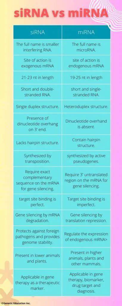 Sirna Vs Mirna Major Differences