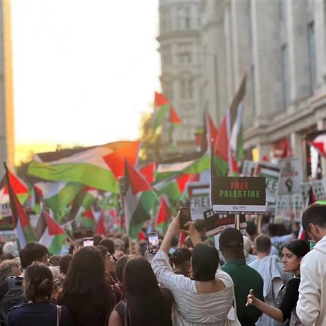 Europe Rallies In Solidarity With Palestine Peoples Dispatch