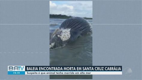 Baleia jubarte é encontrada morta em praia do extremo sul da Bahia