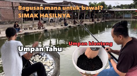 Mancing Galatama Bawal Pake Umpan Unik Umpan Tahu Vs Umpan Klenteng