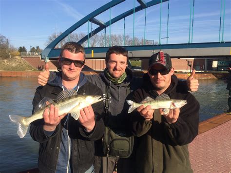 Barschseminar Am Kanal Gro Hecht Guiding Zander Guiding In Holland