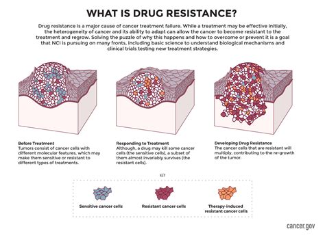 Cancer Drug Resistance National Cancer Institute