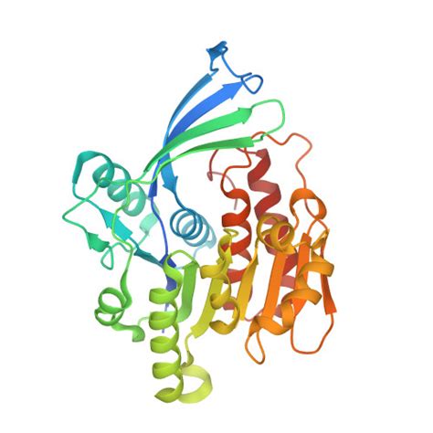 Rcsb Pdb W X Structure Of Khk In Complex With Compound S