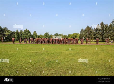 The Group Of Figures Titled Unrecognized Nierozpoznani By The