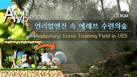 메이플 Asmr 언리얼 세계의 에레브 수련의 숲 Ereve Training Field In Ue5 공부 Asmr