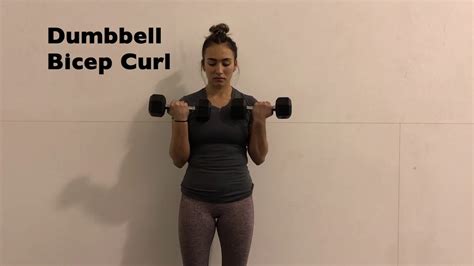 Bicep Curl Progressionsvariations Youtube