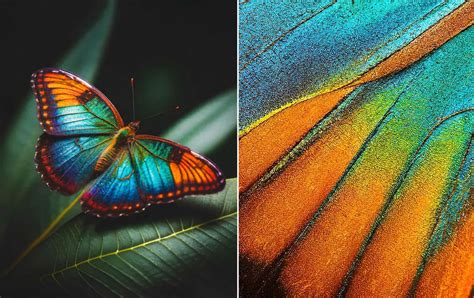 Adobe Introduces Supercharged Photoshop With Incredible New Ai Features