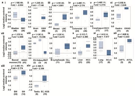 Jcm Free Full Text Multiomics Analysis Reveals That Gls And Gls