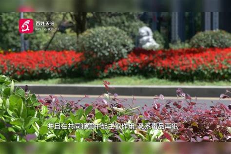 毒品犯罪 “零容忍” 贵州省高级人民法院重拳出击