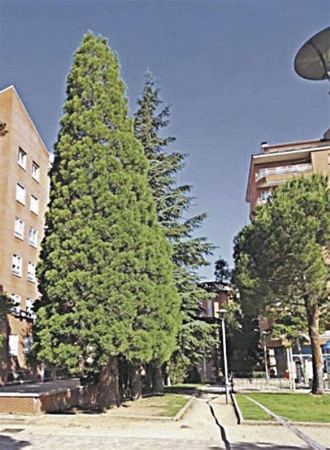 El Parque del Peñascal y el Jardín de Marcelo Laínez