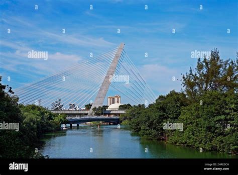cable stayed bridge barra da tijuca rio stock photo alamy