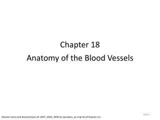 Ppt Chapter Anatomy Of The Cardiovascular System Powerpoint