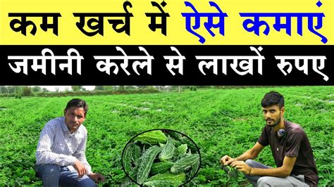 करेले की खेती कब और कैसे करें Karele Ki Kheti Kaise Karen Karela Ki