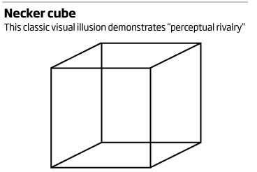 Tactile illusions 2: Perceptual rivalry | New Scientist