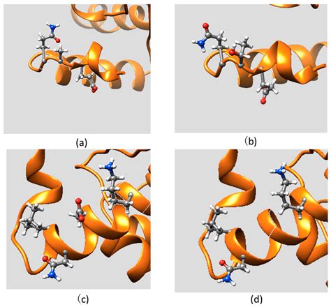 Ijms Free Full Text Mutations In The Kdm5c Arid Domain And Their