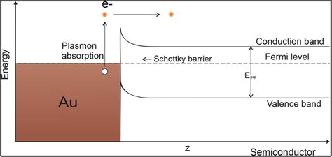 Hot Electron Transfer Mechanism From A Metal To A Semiconductor A