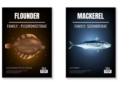 Sea Fish Poster Set By Macrovector On Dribbble