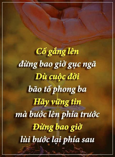 Cố gắng lên | Bff quotes, Lời trích về thành công, Những câu nói tạo động lực