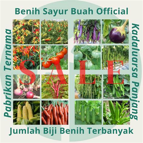 Jual Benih Official Store Bibit Sayuran Benih Sayur Buah Hibrida Unggul