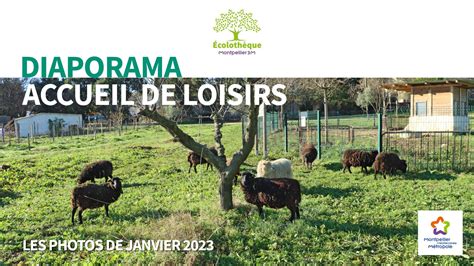 Calaméo Mercredis de janvier 2023