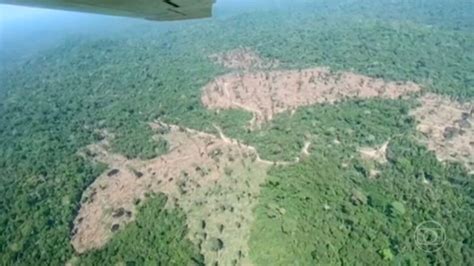 Amaz Nia Tem Recorde De Alertas De Desmatamento Em Janeiro De