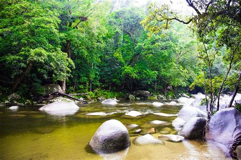 Visiting The Tropical Oasis Of Mossman Gorge Explore Shaw