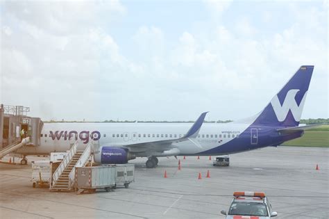 Wingo Lanza Nuevo Vuelo Desde Santo Domingo Y Suma Ya Cinco Rutas Hacia