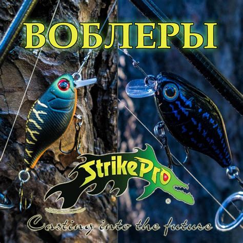 Strike Pro