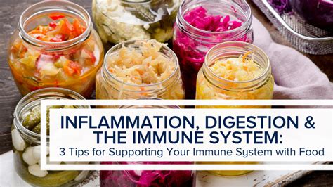 Inflammation Digestion And The Immune System 3 Tips For Supporting