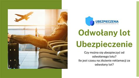 Co Obejmuje Ubezpieczenie Oc W Euroins Ile Kosztuje Polisa