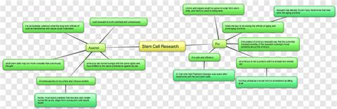 Stem Cell Controversy Mind Map Diagram Stem Cell Cell Map Png Pngegg