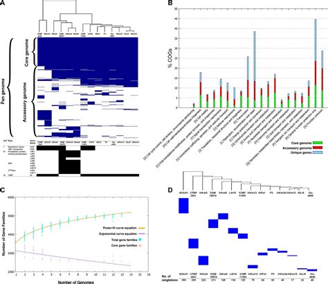 Frontiers Genomics Enabled Novel Insight Into The Pathovar Specific